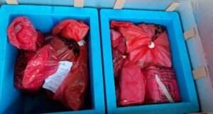 మలావి దేశంలో 20 వేల డోసుల టీకాలను ధ్వంసం…!! కారణమేంటి.. ?