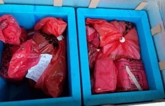 మలావి దేశంలో 20 వేల డోసుల టీకాలను ధ్వంసం…!! కారణమేంటి.. ?