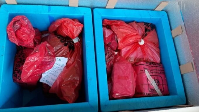 మలావి దేశంలో 20 వేల డోసుల టీకాలను ధ్వంసం…!! కారణమేంటి.. ?