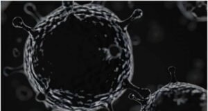 బ్లాక్ ఫంగస్ ఏంటి..? ఎలా వస్తుంది ..??