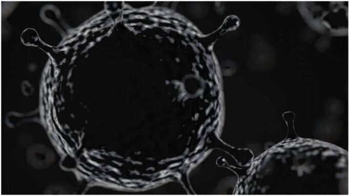 బ్లాక్ ఫంగస్ ఏంటి..? ఎలా వస్తుంది ..??